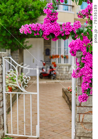 Decoration of a residential building with bright purple flowers Decoration of a residential building with bright purple flowers 79336189
