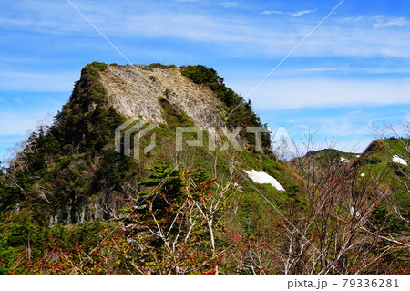 上州武尊山　登山道からの剣ヶ峰 79336281