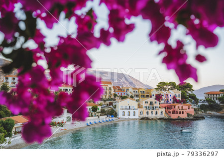 Red blossom oleandre flower of Assos village with colorful traditional houses on Kefalonia Island, Greece. 79336297