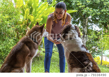 Young woman in home teaching her two dogs to give a paw as a greeting by rewarding with a cookie Young woman in home teaching her two dogs to give a paw as a greeting by rewarding with a cookie 79336490