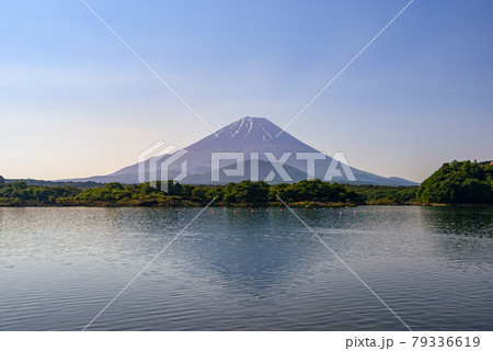 (山梨県)早朝の精進湖と逆さ富士 (山梨県)早朝の精進湖と逆さ富士 79336619