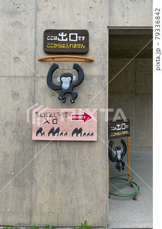 【北海道旭川市】旭山動物園・ちんぱんじー館 79336842