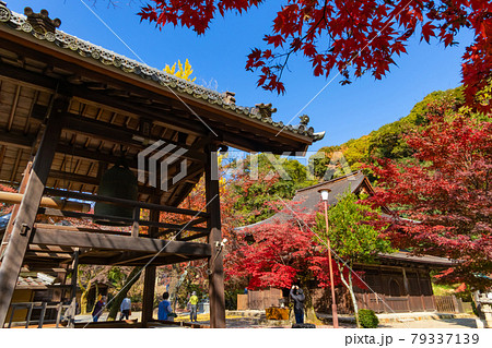 秋の定光寺〈愛知県瀬戸市〉 秋の定光寺〈愛知県瀬戸市〉 79337139