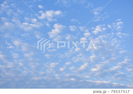 晴天の日の高積雲、ひつじ雲3 79337317