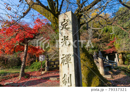 秋の定光寺〈愛知県瀬戸市〉 秋の定光寺〈愛知県瀬戸市〉 79337321