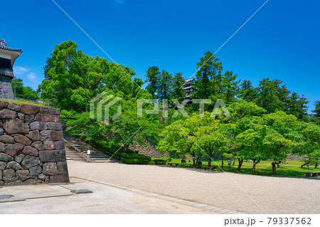 松江城 二の丸下の段 6月 松江城 二の丸下の段 6月 79337562