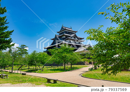 国宝 松江城 6月 国宝 松江城 6月 79337569