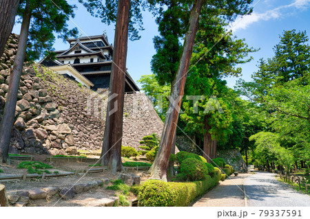 国宝 松江城 6月 本丸下の細長い帯曲輪 国宝 松江城 6月 本丸下の細長い帯曲輪 79337591