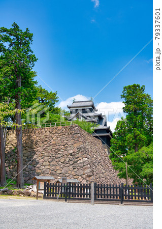 松江城 太鼓櫓付近から見る 6月 松江城 太鼓櫓付近から見る 6月 79337601