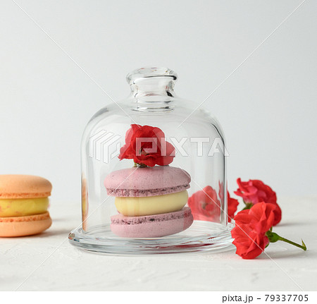 baked purple macarons lies under a transparent glass jar on a white background 79337705