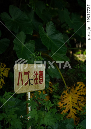 ハブに注意看板の写真素材 79337727 Pixta