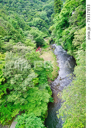 石川県　山中温泉鶴仙渓 79337853