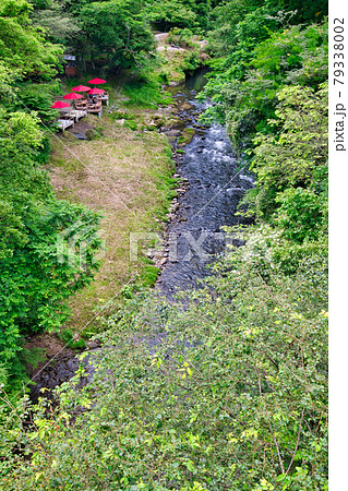 石川県 山中温泉鶴仙渓 石川県 山中温泉鶴仙渓 79338002