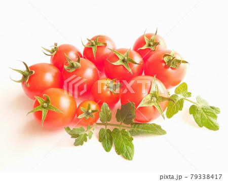 トマト とまと トマトの実と葉 完熟トマト 物撮り トマト とまと トマトの実と葉 完熟トマト 物撮り 79338417