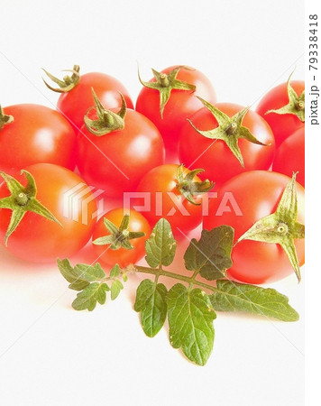トマト とまと トマトの実と葉 完熟トマト 物撮り トマト とまと トマトの実と葉 完熟トマト 物撮り 79338418
