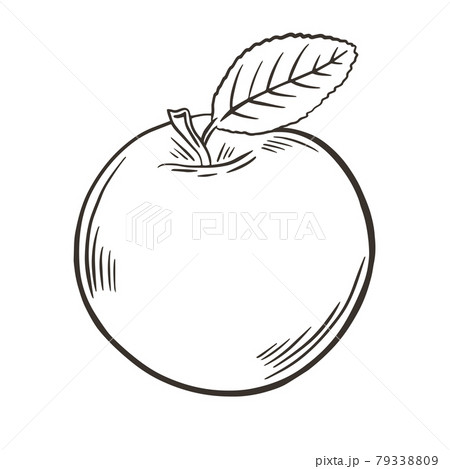 Freehand sketch of an apple, vector illustration. 79338809