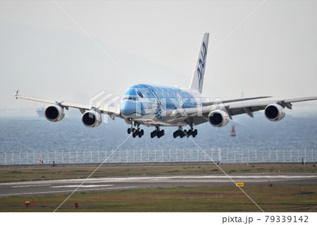 エアバスA380 (ANA FLYING HONU) エアバスA380 (ANA FLYING HONU) 79339142