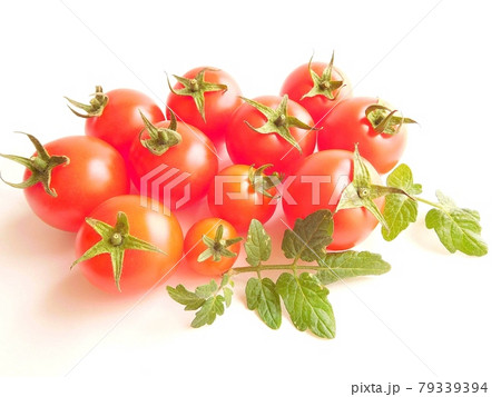 トマト とまと トマトの実と葉 完熟トマト 物撮り トマト とまと トマトの実と葉 完熟トマト 物撮り 79339394