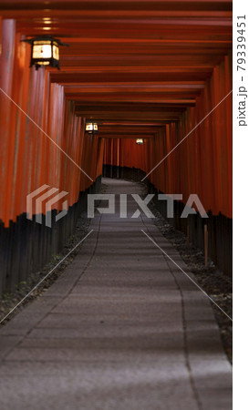 京都の伏見稲荷の鳥居 79339451