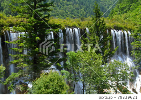 中国四川省 九寨溝の湖沼群 諾日朗瀑布 中国四川省 九寨溝の湖沼群 諾日朗瀑布 79339621