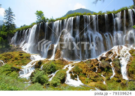 中国四川省　九寨溝の湖沼群　諾日朗瀑布 79339624