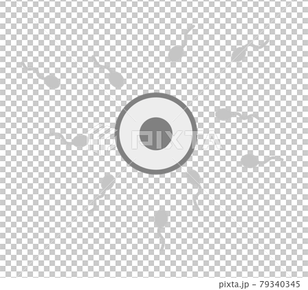 Fertilization illustration of egg and sperm 79340345