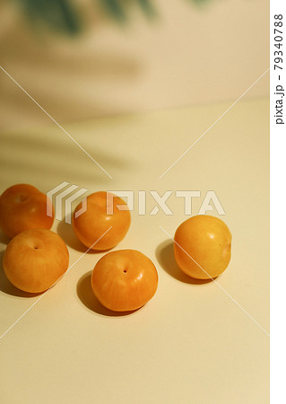 Marian Plum, prange plum on neutral background with palm shadow Marian Plum, prange plum on neutral background with palm shadow 79340788