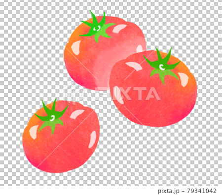 Organic vegetable tomato illustrations and other variations Organic vegetable tomato illustrations and other variations 79341042