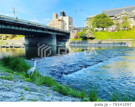 四条大橋付近の鴨川 四条大橋付近の鴨川 79341097