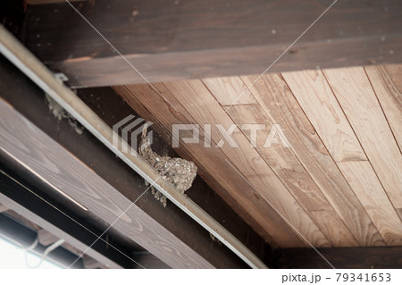 屋根裏にあるツバメの巣 79341653