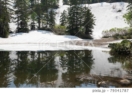 雪解けの頃の滝見沼 79341787