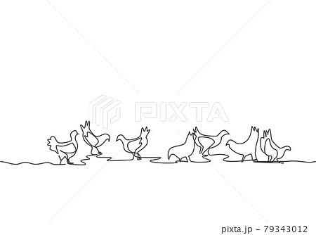 Single continuous line drawing of several chickens were playing in the fields while looking for food. Successful farming minimalism concept. Dynamic one line draw graphic design vector illustration 79343012