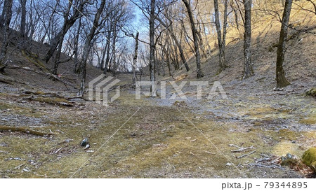 静岡県 安倍峠付近の登山道 静岡県 安倍峠付近の登山道 79344895