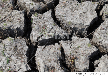 dry cracked soil on field for burn of sun dry cracked soil on field for burn of sun 79345797