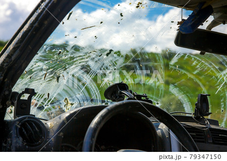windshield view from the interior of a car through a window covered with a layer of dried swamp after driving off-road on a sunny day, dirty car inside. windshield view from the interior of a car through a window covered with a layer of dried swamp after driving off-road on a sunny day, dirty car inside. 79347150