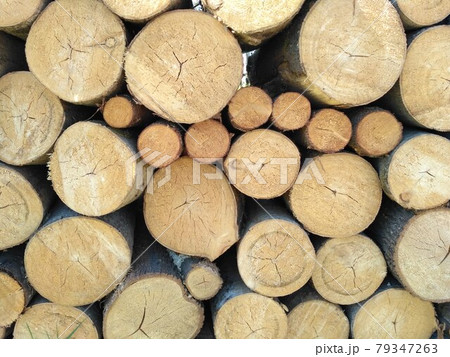 The sawn wood lies in a heap. Woodpile close-up. A stack of dry logs, visible texture and cracks in the tree. Exterior shot of a large pile of firewood in soft daylight. Fresh logs. A neat tree cut The sawn wood lies in a heap. Woodpile close-up. A stack of dry logs, visible texture and cracks in the tree. Exterior shot of a large pile of firewood in soft daylight. Fresh logs. A neat tree cut 79347263