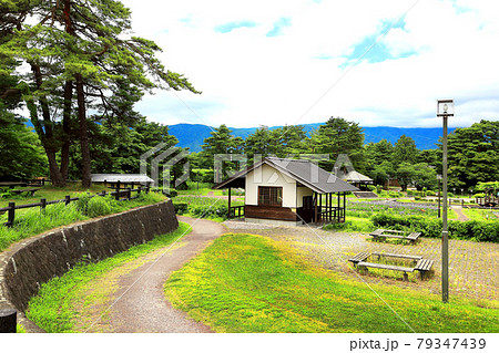 長井あやめ公園 長井あやめ公園 79347439