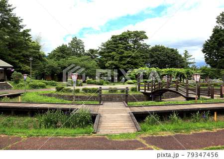 長井あやめ公園 長井あやめ公園 79347456