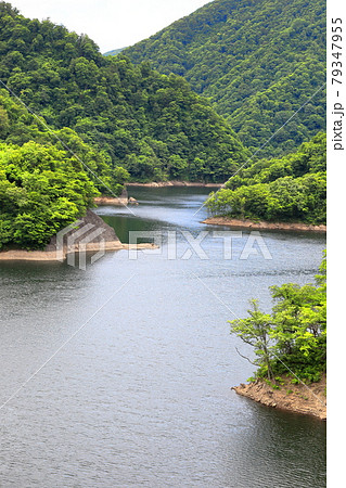長井ダム ながい百秋湖 長井ダム ながい百秋湖 79347955