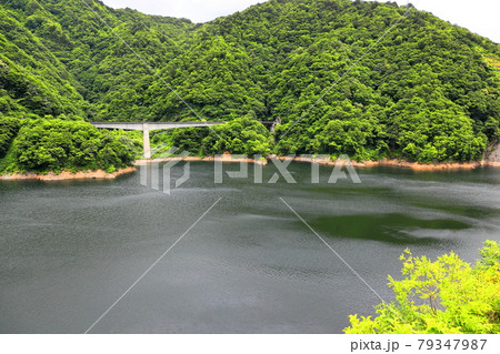 長井ダム ながい百秋湖 長井ダム ながい百秋湖 79347987