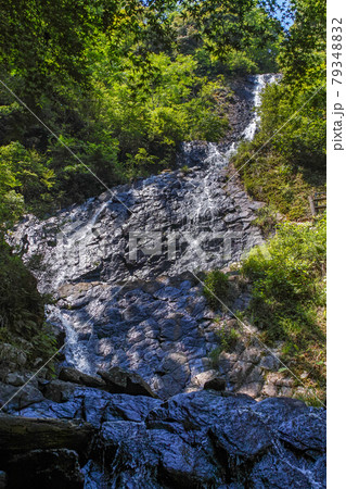 静岡県/ 枯れている方が美しい!?柱状節理の上を落水する「旭滝」 静岡県/ 枯れている方が美しい!?柱状節理の上を落水する「旭滝」 79348832