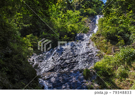 静岡県/ 枯れている方が美しい！？柱状節理の上を落水する「旭滝」　 79348833