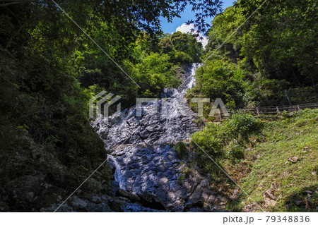 静岡県/ 枯れている方が美しい！？柱状節理の上を落水する「旭滝」　 79348836