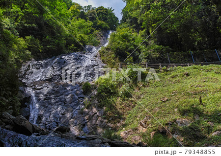静岡県/ 枯れている方が美しい!?柱状節理の上を落水する「旭滝」 静岡県/ 枯れている方が美しい!?柱状節理の上を落水する「旭滝」 79348855