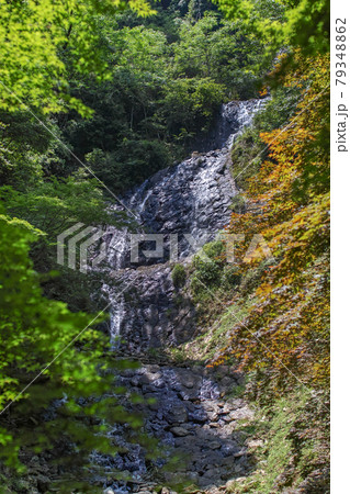 静岡県/ 枯れている方が美しい!?柱状節理の上を落水する「旭滝」 静岡県/ 枯れている方が美しい!?柱状節理の上を落水する「旭滝」 79348862