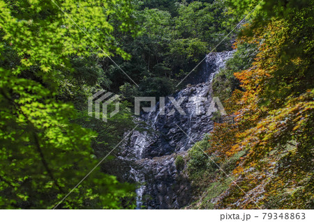 静岡県/ 枯れている方が美しい!?柱状節理の上を落水する「旭滝」 静岡県/ 枯れている方が美しい!?柱状節理の上を落水する「旭滝」 79348863