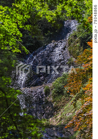 静岡県/ 枯れている方が美しい!?柱状節理の上を落水する「旭滝」 静岡県/ 枯れている方が美しい!?柱状節理の上を落水する「旭滝」 79348866