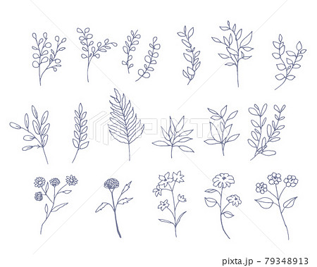 手書きの花と草木線画のイラストセットのイラスト素材