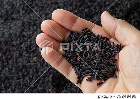 Handful of raw black rice grains in a caucasian person hand against black rice seeds background. 79349499