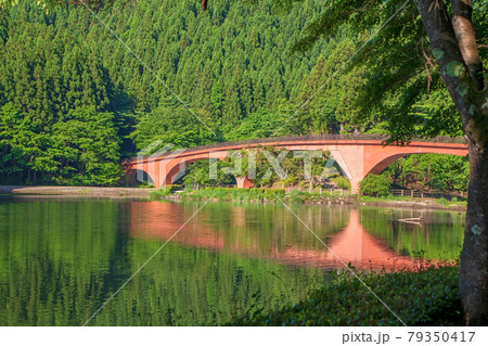 碓氷湖 坂本ダム 遊歩道より 初夏の周辺景色 碓氷湖 坂本ダム 遊歩道より 初夏の周辺景色 79350417